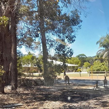 101 Oatlands Motel Mount Barker Exterior photo
